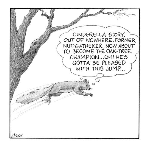 "Cinderella story, out of nowhere, former nut-gatherer, now about to become the oak-tree champion..."