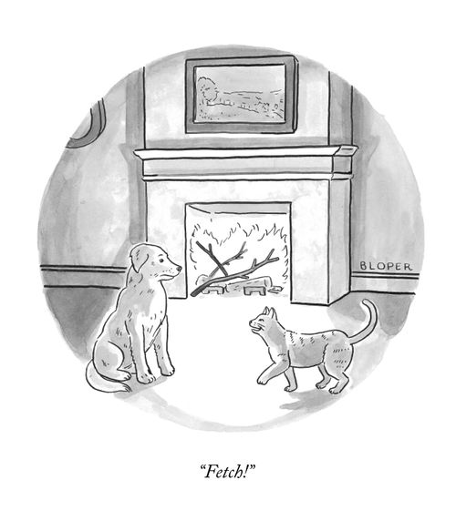 "Fetch!"