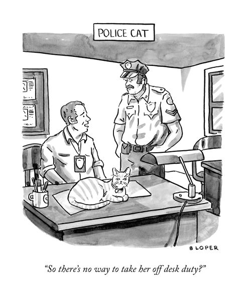 "So there’s no way to take her off desk duty?”