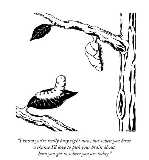 “I know you’re really busy right now, but when you have a chance I’d love to pick your brain about how you got to where you are today.”