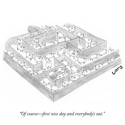 "Of course—first nice day and everybody's out."