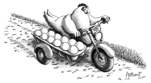 Chicken Riding a Motorbike with Eggs