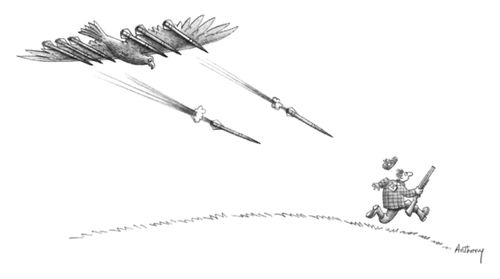 Bird Missile Launch