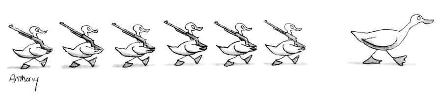 March of the Ducklings
