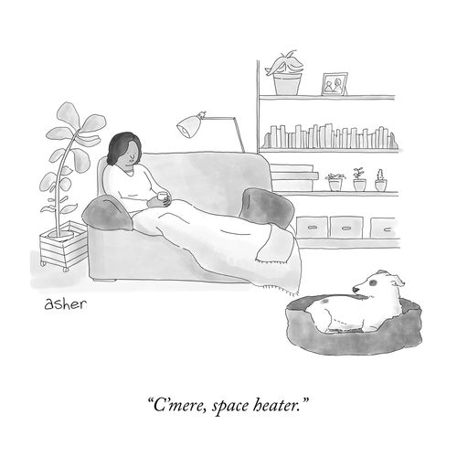 "C'mere, space heater."