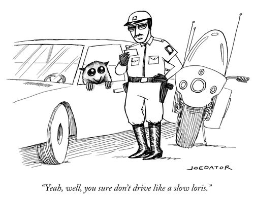 "Yeah, well, you sure don't drive like a slow loris."