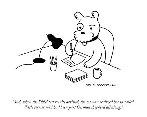 "And, when the DNA test results arrived, the woman realized her so-called 'little terrier mix' had been part German shepherd all along."