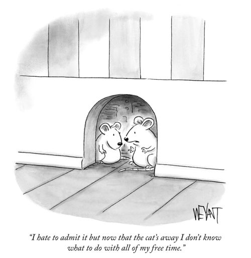 "I hate to admit it but now that the cat's away I don't know what to do with all of my free time."