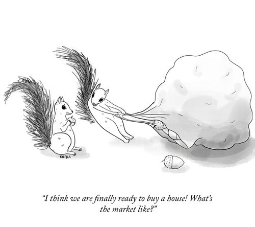 "I think we are finally ready to buy a house! What's the market like?"