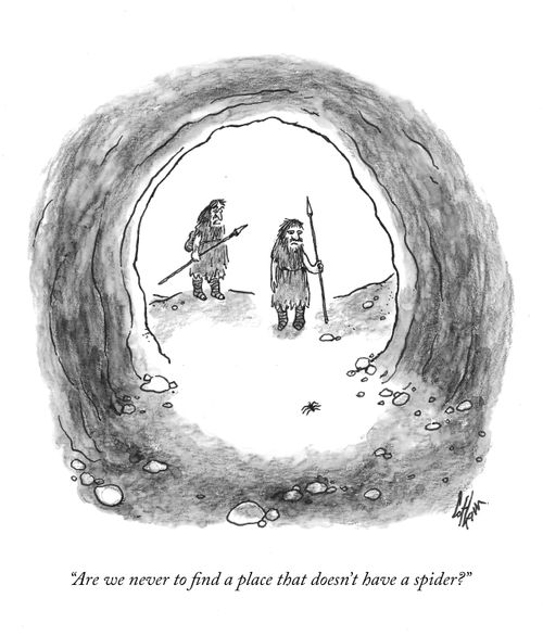 "Are we never to find a place that doesn't have a spider?"