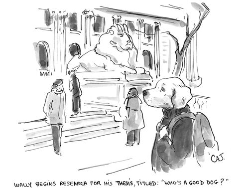 Wally Begins research for his thesis entitled "who's a good dog?"