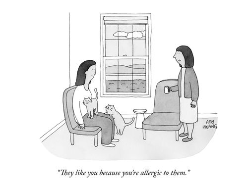 "They like you because you're allergic to them."