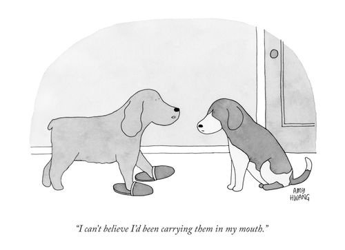 "I can't believe I'd been carrying them in my mouth."