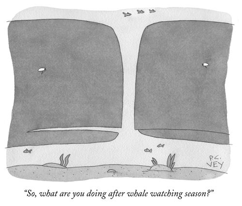 "So, what are you doing after whale-watching season?"