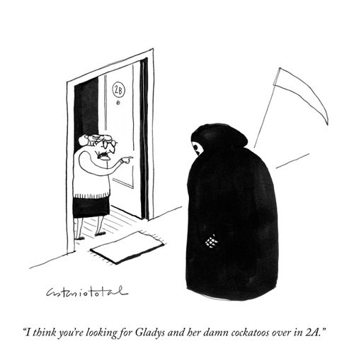 “I think you’re looking for Gladys and her damn cockatoos over in 2A.”