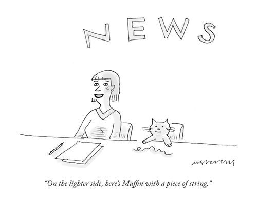 "On the lighter side, here's Muffin with a piece of string."