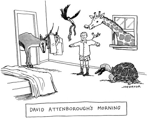 David Attenborough's Morning