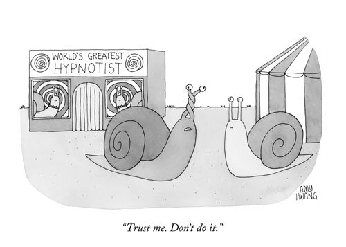 "Trust me. Don't do it."