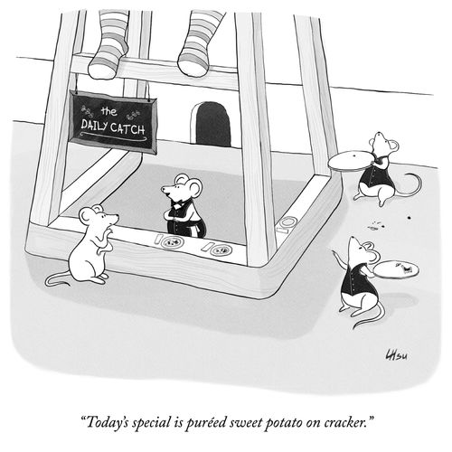 "Today's special is puréed sweet potato on cracker."