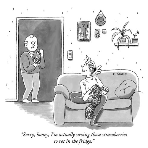"Sorry, honey, I'm actually saving those strawberries to rot in the fridge."
