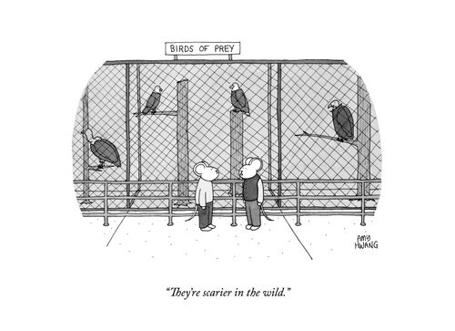"They're scarier in the wild."