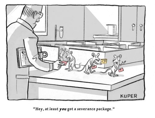 "Hey, at least you got a severance package."