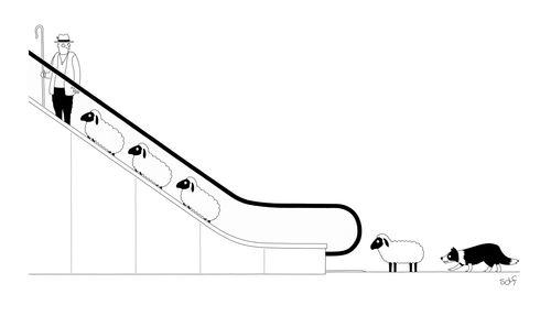 Sheep Escalator