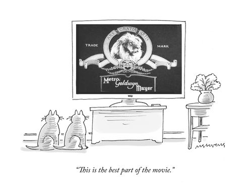 "This is the best part of the movie."