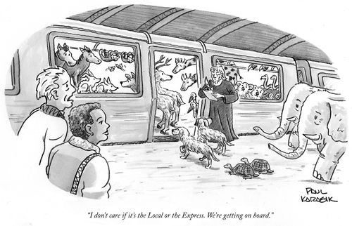 "I don't care if it's the Local or the Express. We're getting on board."