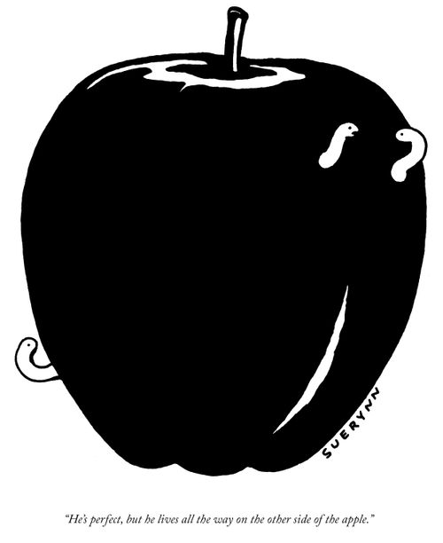 "He's perfect, but he lives all the way on the other side of the apple."