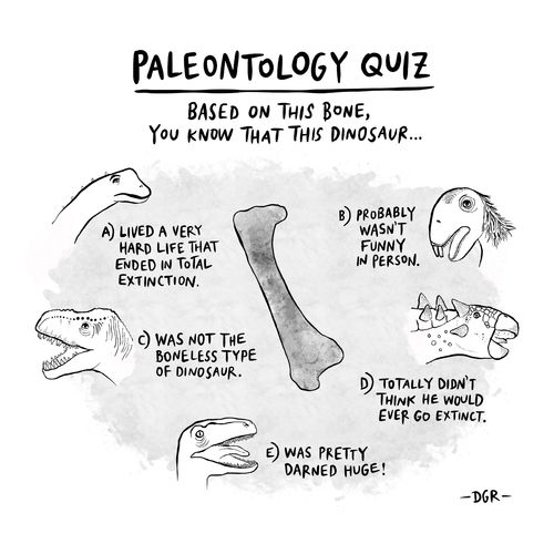 Paleontology Quiz: Based on this bone, you know that this dinosaur....