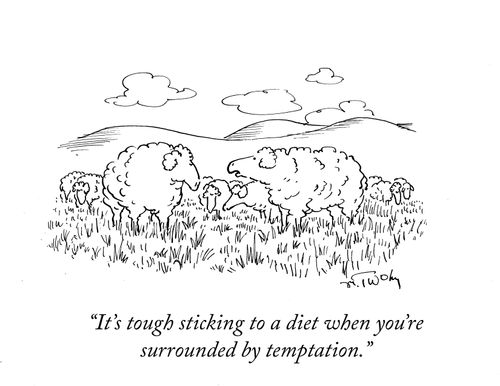 "It's tough sticking to a diet when you're surrounded by temptation."