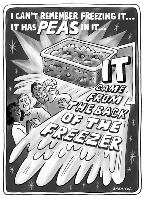 I can't remember freezing it....it has peas in it...it came from the back of the freezer.