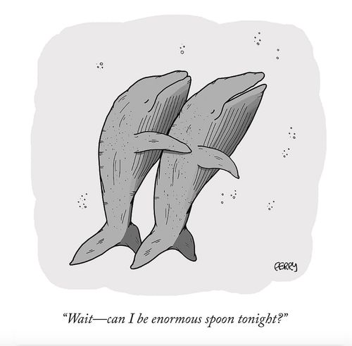 "Wait -- can I be enormous spoon tonight?"