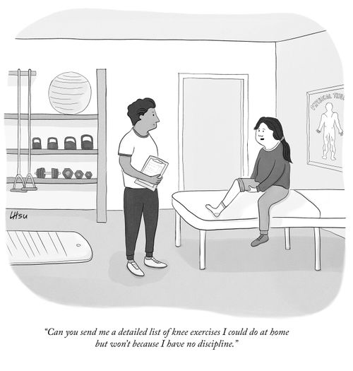 "Can you send me a detailed list of knee exercises I could do at home but won't because I have no discipline."