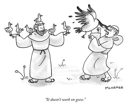 "It doesn't work on geese."