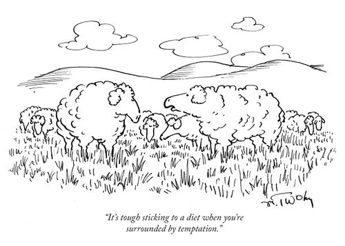 "It's tough sticking to a diet when you're surrounded by temptation."