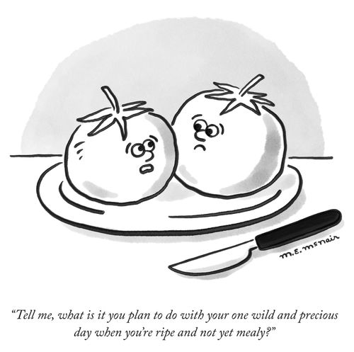 "Tell me, what is it you plan to do with your one wild and precious day when you're ripe and not yet mealy?"