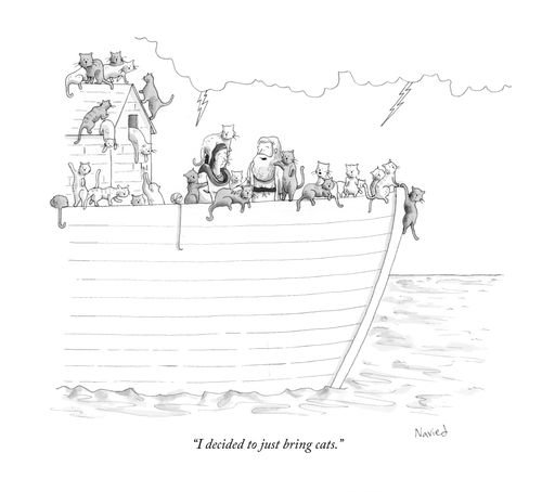 "I decided to just bring cats."