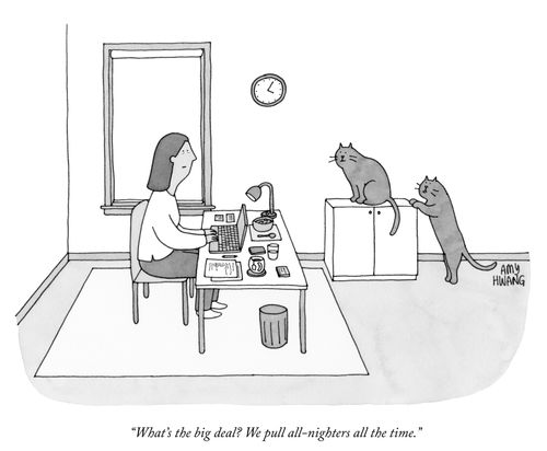 "What's the big deal? We pull all-nighters all the time."