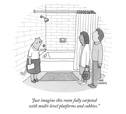 "Just imagine this room fully carpeted with multi-level platforms and cubbies."