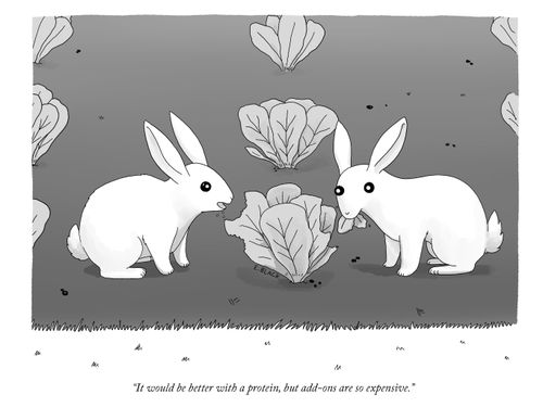"It would be better with a protein, but add-ons are so expensive."