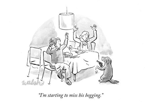 "I'm starting to miss his begging."