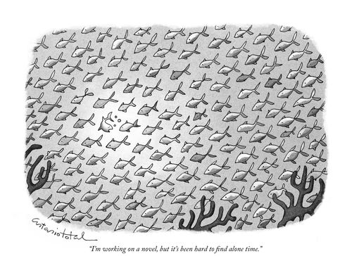 "I'm writing a novel, but it's hard to find alone time."