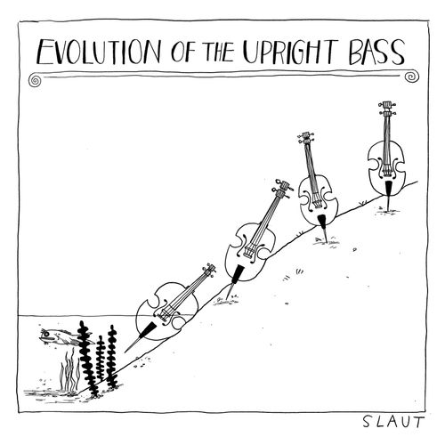 Evolution of the upright bass