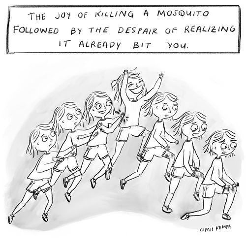 The joy of killing a mosquito followed by the despair of realizing it already bit you.