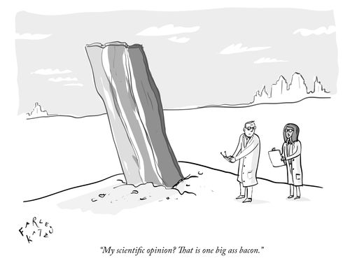 "My scientific opinion? That is one big ass bacon."