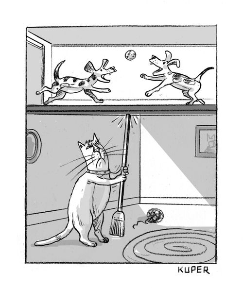 Cat and Broom