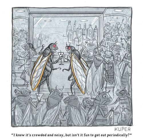 "I know it's crowded and noisy, but isn't it fun to get out periodically?"