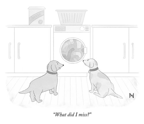 "What did I miss?"